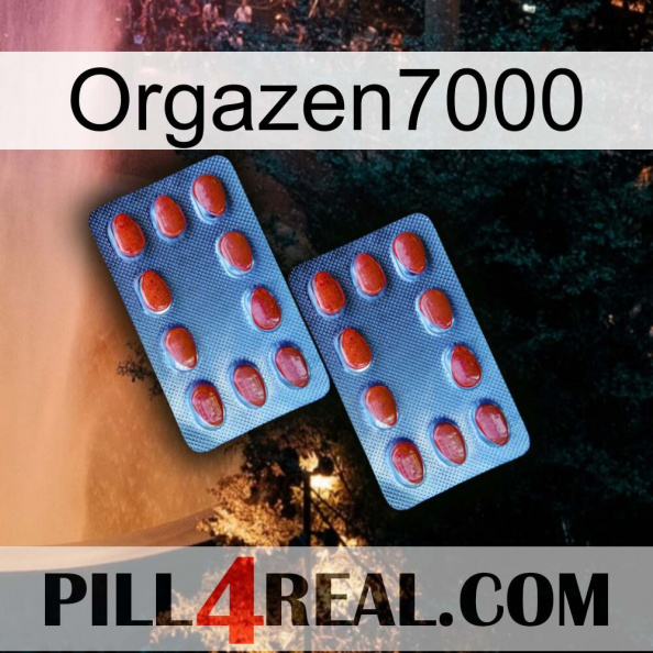 Orgazen7000 05.jpg